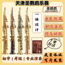 Soprano saxophone instrument integrated pipe in B flat dedicated for beginners and professional performance examinations
