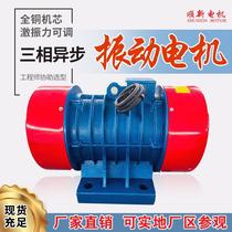 Vibration motor pure copper 380V three-phase asynchronous vibration motor warehouse wall vibration motor YZS YZO YZD246 level
