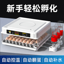 Xinjiang Tibet waterbed incubator small household rutin incubator fully automatic intelligent egg incubator chicks