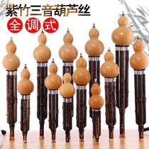 Hulusi instrument for beginners small f d flat b flat a g big f e c children and adults entry-level playing