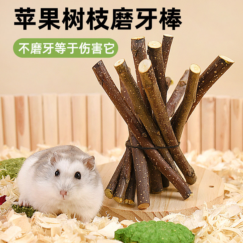 แท่งเคี้ยวสำหรับหนูแฮมสเตอร์ กิ่งแอปเปิล ขนมเคี้ยวสำหรับหนูแฮมสเตอร์สีทองและกระต่าย อาหารสำหรับแทะเล่นและตกแต่งสวน คอลเลกชันอุปกรณ์ไม้ไผ่รสหวาน