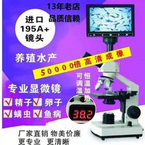 Professional viewing of pigs rabbits dogs and cows sperm aquaculture algae bacteria microorganisms medical one-drop blood detection