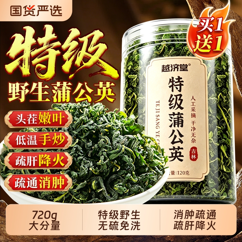 Dandelion Genuine Premium Wild Chinese Medicinal Herb Official Flagship Store Fresh Loose Herb for Clearing Heat, Brewing into Water for Drinking, and Relieving Internal Heat Dandelion Genuine Premium Wild Chinese Medicinal Herb Official Flagship Store Fresh Loose Herb for Clearing Heat, Brewing into Water for Drinking, and Relieving Internal Heat
