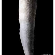 Raw materials: All fish skins salmon Hezhen fish skins leather clothing 30 Yuan for skin painting