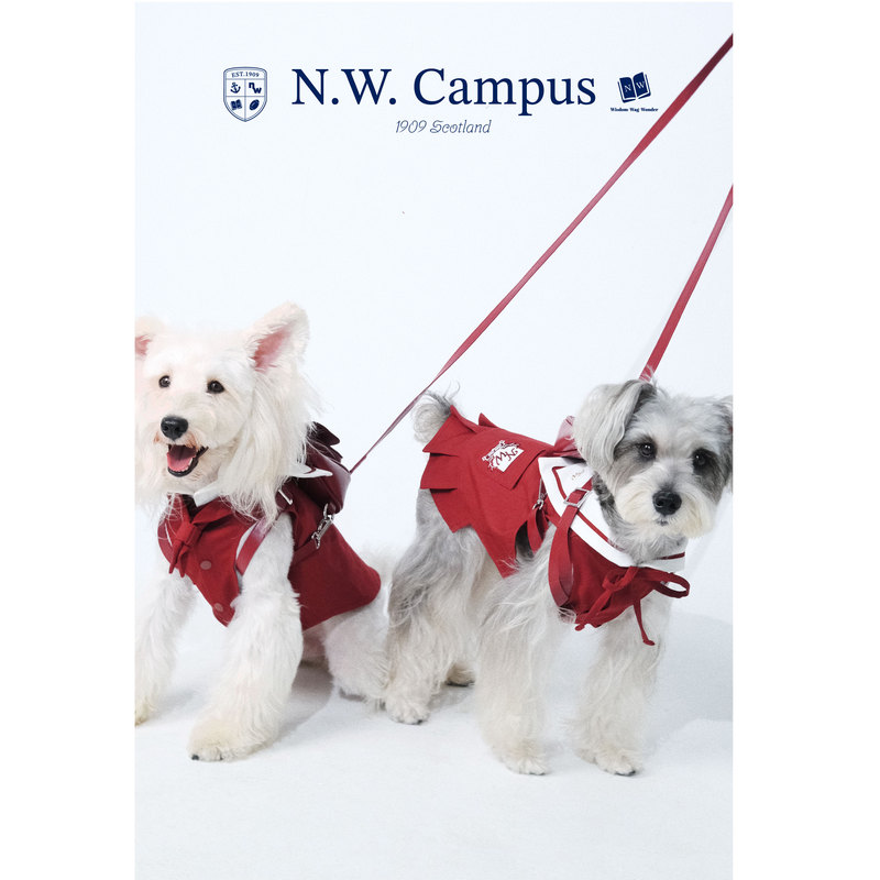 Nw Academy [26Th Year School Entry Set] Dog School Set School Uniform Backpack Academy Style Sailor Suit