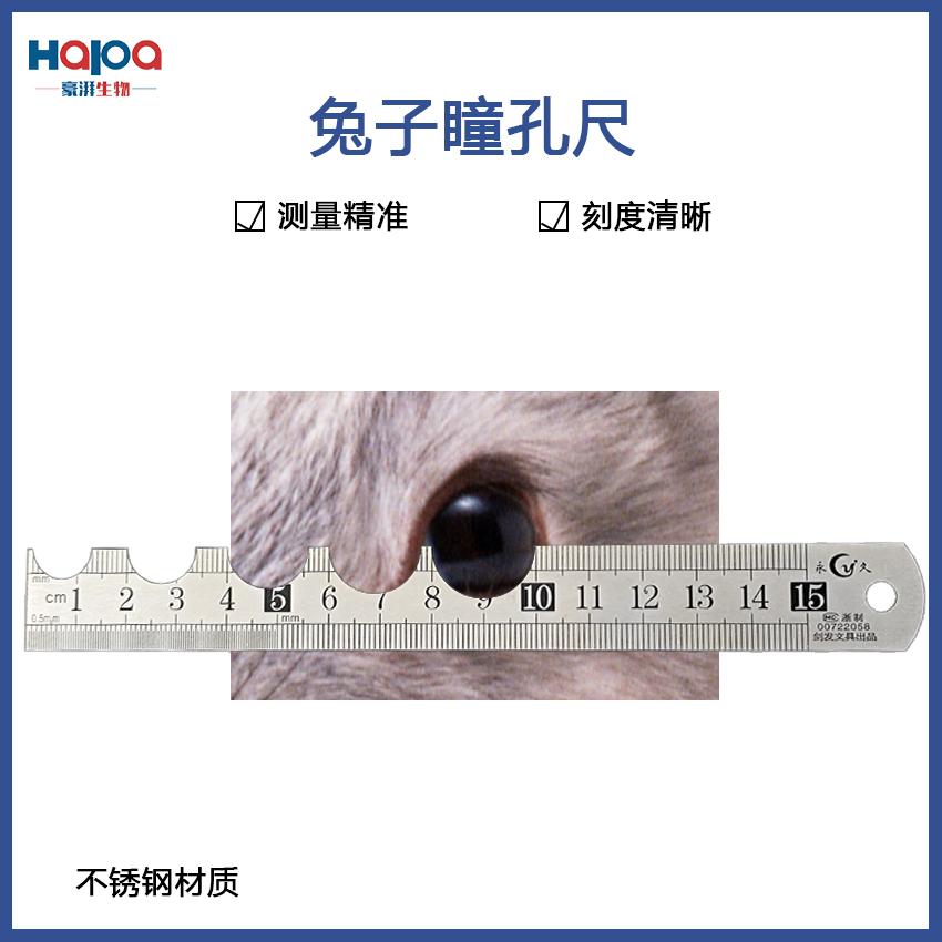 不锈钢瞳孔尺兔子小动物瞳孔直径测量不锈钢瞳孔测量尺子动物实验