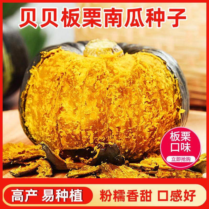 即食贝贝南瓜是减肥期间的理想选择吗？聊聊它的优点和适用场景！