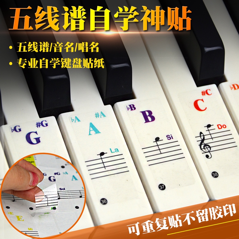Piano Keyboard Stickers with Five-Line Notation for Self-Learning, Transparent Film for Electronic Keyboards, Accordions, 37-Key, 61-Key, 88-Key Accessories