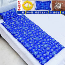 Aloe Vera Summer Water Cushion Mattress Ice Mat Multifunction Cooling Theorizer Inflatable Water Injection Dual-use with convenient water mattress
