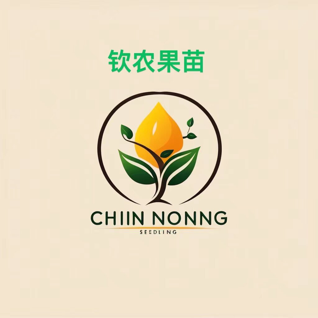 广西钦农果树苗的LOGO