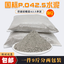 Cement Portland Po42 5 University Experiment 425 Landscape Repair Vulnerability Quick-drying Ordinary Portland Black Cement