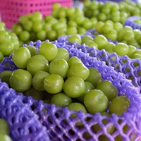 Фиолетовый 31*10 около 150 виноградин 2 фунта