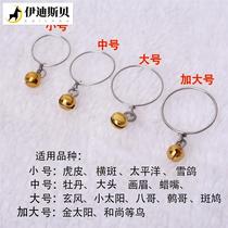 Bird collar parrot neck collar release rope bird collar lock neck chain tiger skin peony big head black phoenix little lady