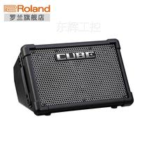 Roland Rolland CUBE-STEX electric guitar portable outdoor slingshot battery powered stereo speaker 