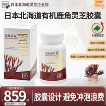 Capsules de Ganoderma en bois de Wanghuang Hokkaido du japon produits de santé boîte certifiée par le gouvernement Hokkaido bouteille de 120 Capsules