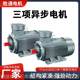 Variable multi-speed motor 160L-6 variable frequency speed control braking motor Three-phase asynchronous motor Motor