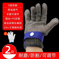 Xl Обновление и расширенная модель