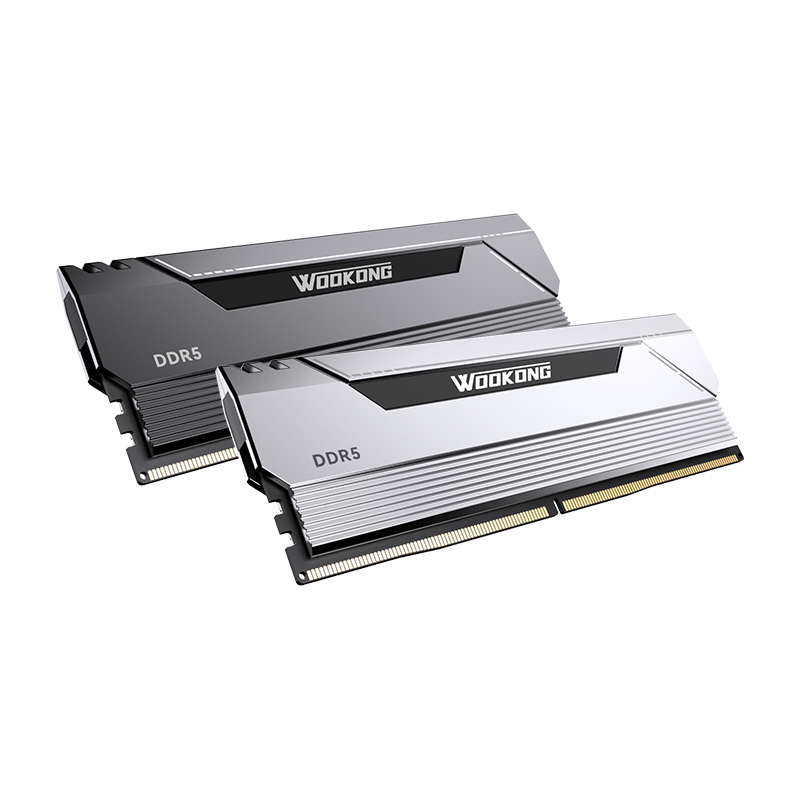 HX100 Biwin DDR5 銀色 32GB(16GB×2) デスクトップPCメモリ Biwin