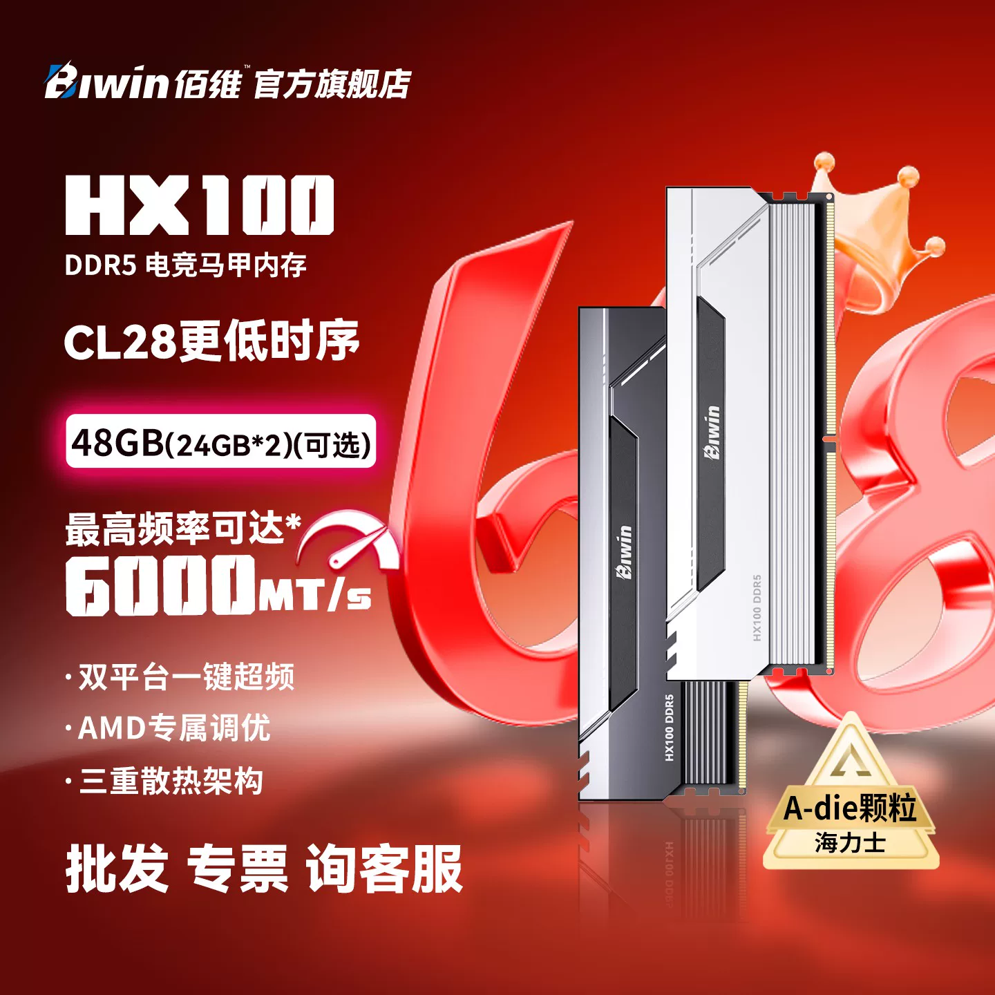 Память для настольного ПК Baiwei HX100 6000/C28 48GB (24Gx2) DDR5 модуль памяти 32G 16G2