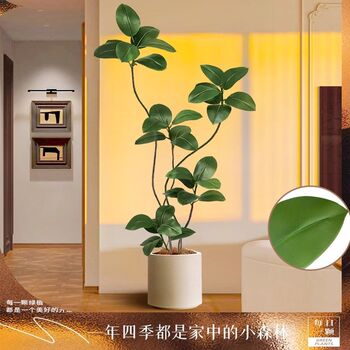 New large-scale living room e-living room floor-standing ornaments indoor sofa tv cabinet next to fake plant black diamond rubber tree imitation