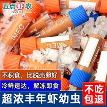 Five Points Shrimp Farmers freeze brine shrimp larvae freeze brine shrimp eggs hatch guppies small fish food jellyfish feed