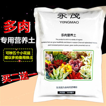 Added succulent plant nutrient soil large package fertilizer flower potted flower vegetable peat succulent general planting soil