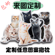 Ugly cat pillow custom diy no white edge ugly photo pet pillow cat and dog special-shaped pillow picture simulation gift