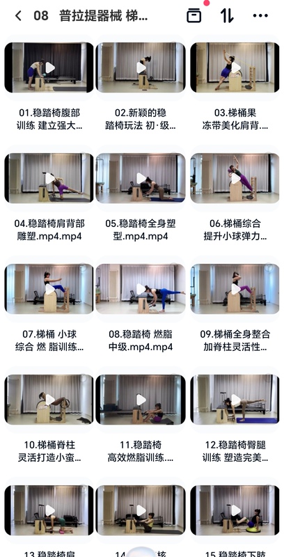 Pilates Equipment - Steady Step Chair, Ladder and Bucket Courses, In-Depth Lectures and Hands-On Practice, Total of 27 Sessions