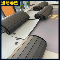 Martial Arts Sanda Judo Mat Fighting Fighting Roll Mat Xpe Sports Mat Dance Cheerleading Fitness Training Mat