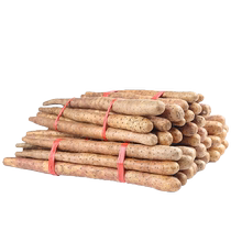 Zhenzzong Henan Jiao Zuowen County Clay Iron Stick Китайский Yam Freshly Fob Drought Glutinous Huaihuai