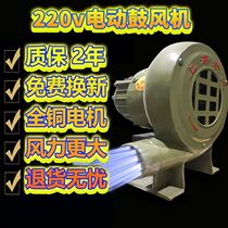Speed-adjustable electric barbecue hair dryer 220V strong wind high-power wood stove construction site stove blower household small