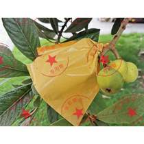 Bagging peach fruit 10000 fruit bags bagging technology fruit 280