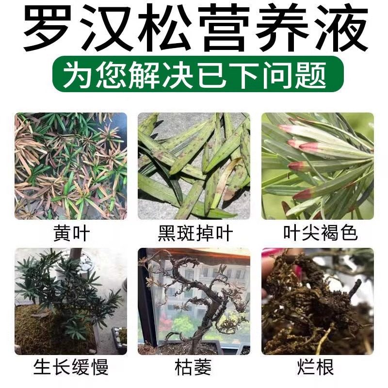 undefined-淘宝网