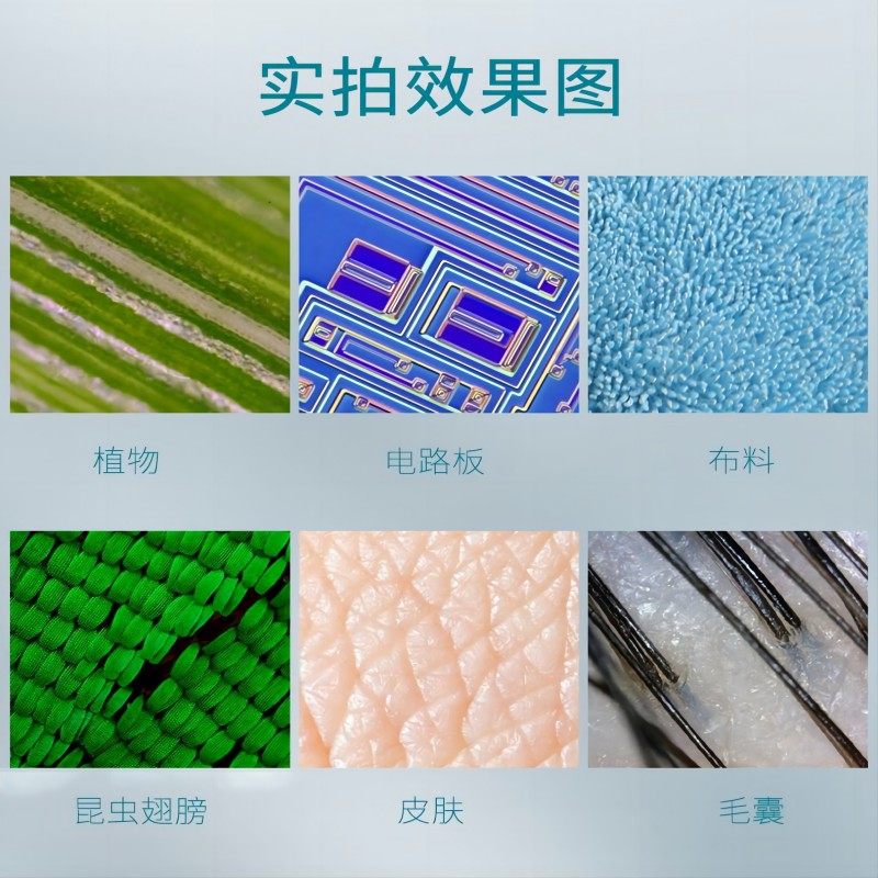 Portable Skin, Scalp, and Hair Follicle Detector, White to Black, Can Be Connected to Mobile Phone, High-Definition Wireless Handheld Hair Follicle Mirror