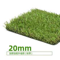 CCGrass共创人造仿真草坪20mm地毯假草皮幼儿园健身房商用足球场