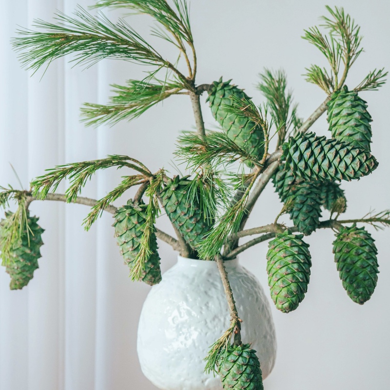 Dragon Boat Festival Green Pine Cone Vase Arrangements Are Long-Lasting, Directly Sourced from the Base, with High-End Floral Materials, Shipped by Sf Express Dragon Boat Festival Green Pine Cone Vase Arrangements Are Long-Lasting, Directly Sourced from the Base, with High-End Floral Materials, Shipped by Sf Express