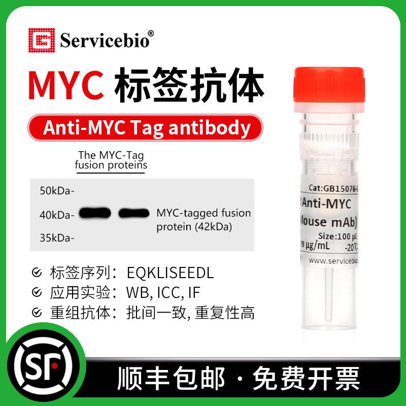 MYC 标签抗体 Anti-MYC Tag antibody EQKLISEEDL标签蛋白抗体