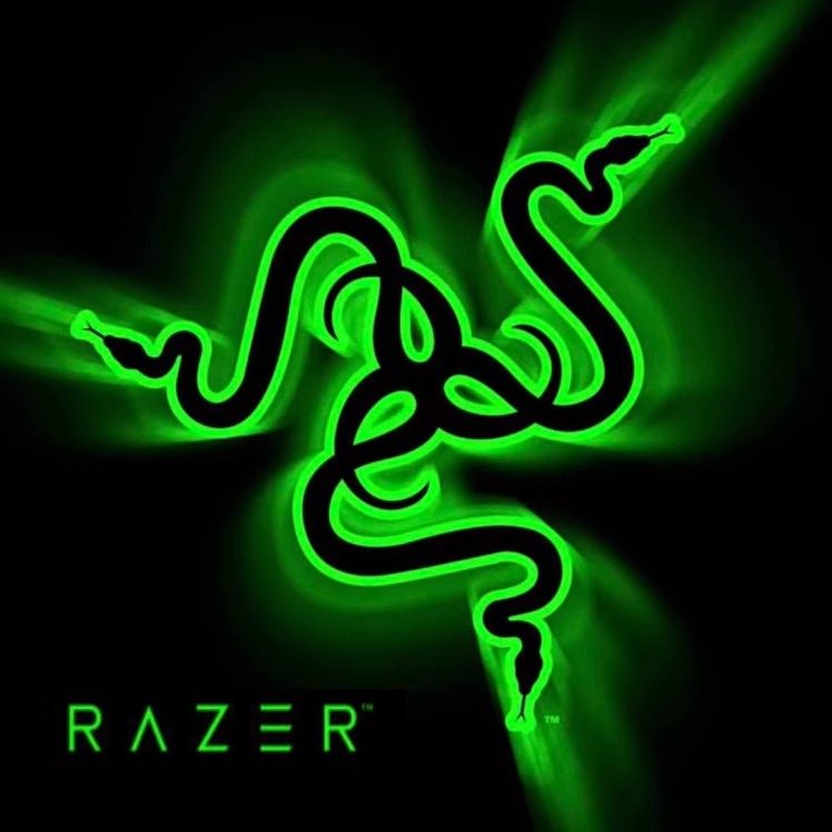 雷蛇官翻企业店