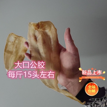 Wenzhou Zhengzong Zhengzong Gongglue Glue Clay fish gum Fish Glue Nourishing Dry Goods 500g