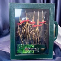 Emerald window gift box ginseng Changbai Mountain wild ginseng high-end health care product nourishing understory ginseng Mid-Autumn Festival gift