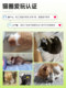 Cat Self-Entertainment Boredom-Relief Gadget, Kitten Toy, Simulated Bird, Electric Automatic Cat Teaser Wand, Small Dog Pet Supplies