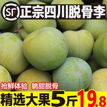 现摘四川脱骨李5斤特大果应当季孕妇新鲜水果空心青脆甜李子整箱