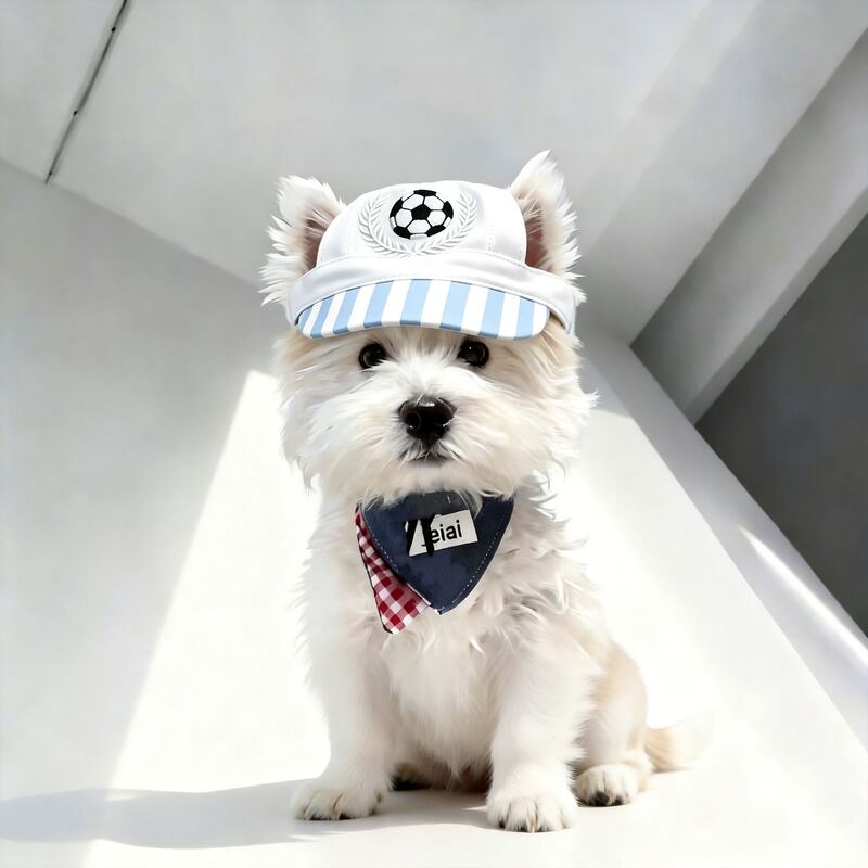 Pet Dog Hat with Exposed Ears, Summer Thin Style, Sun Protection, Cute Corgi Sunshade, Cat Outdoor Decorative Fisherman Hat