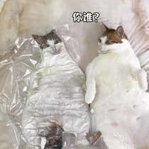 Ugly Cat Pillow Customized Ugly on the Heart DIY internet celebrity Ugly Cat No White Edge Pillow Special-shaped Pet Doll Cushion