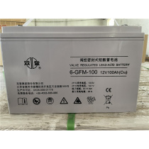 Shuangdeng battery 12V100AH6-GFM-100 maintenance-free photovoltaic solar UPSEPS power supply dedicated