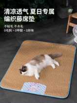 Cat mat pet summer sleeping mat dog mat cat mat for sleeping cat nest floor mat summer cooling ice mat