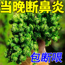 Never have rhinitis in my life) rhinitis childrens turbinate hypertrophy artifact nasal congestion allergic rhinitis sinusitis plaster patch