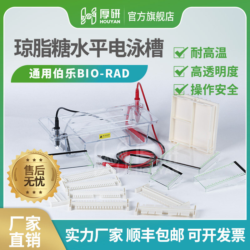 琼脂糖水平电泳槽DYCP-31DN电泳仪凝胶托盘梳子制胶盒电泳配件DNA