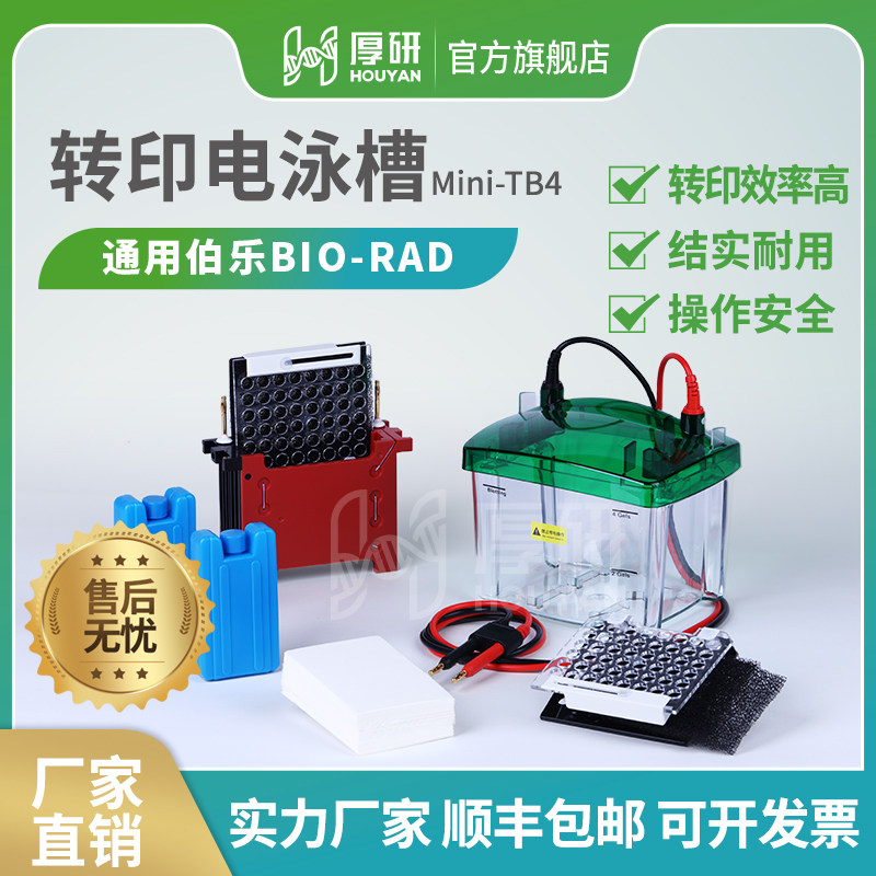 伯乐Bio-rad通用WB小型转印电泳槽湿转蛋白转膜槽Mini Trans-Blot