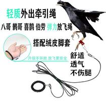 Light bird fly rope domestic myna white-necked crow go out to pull the bird rope without hurting the feet velvet leather cover